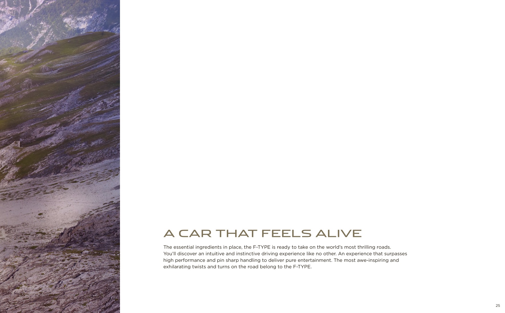 2014 Jaguar F-Type Brochure Page 29